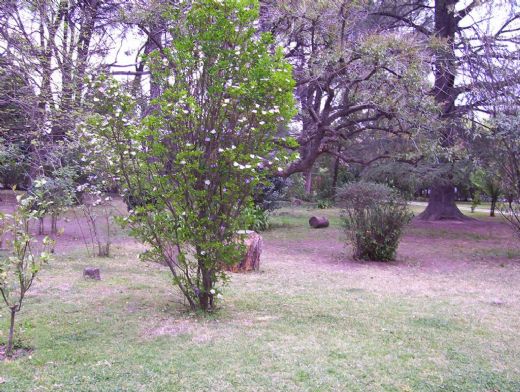 /Archivos/Fotos/45/laicos argentina/Laic@s argentina (10).JPG